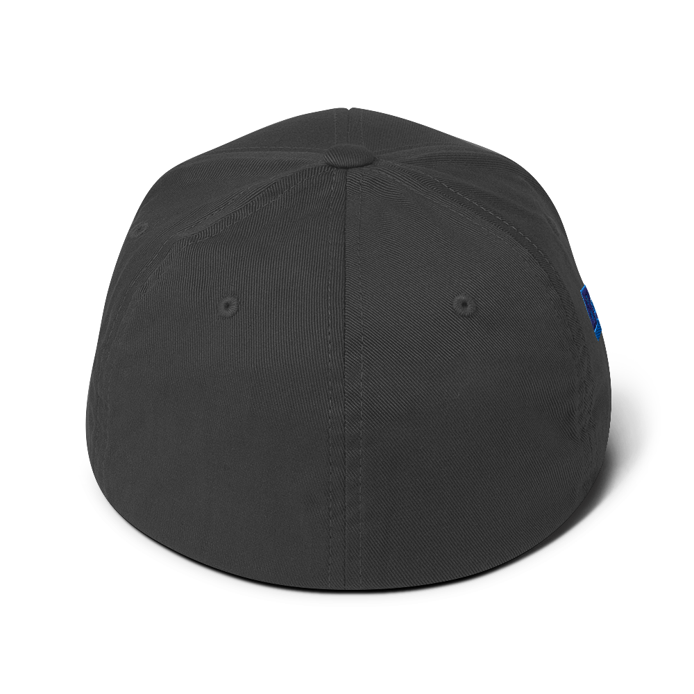 WDJS What Did Jesus Say? Fitted Cap
