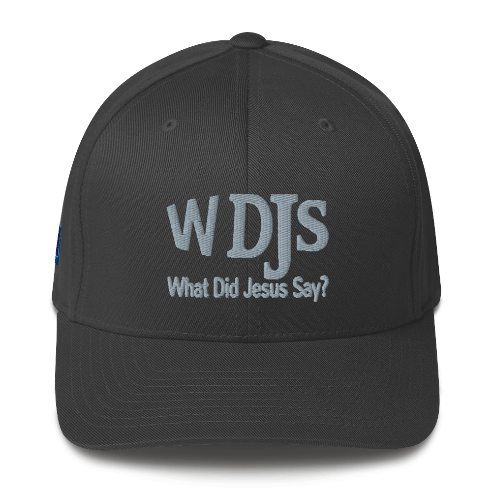 WDJS What Did Jesus Say? Fitted Cap