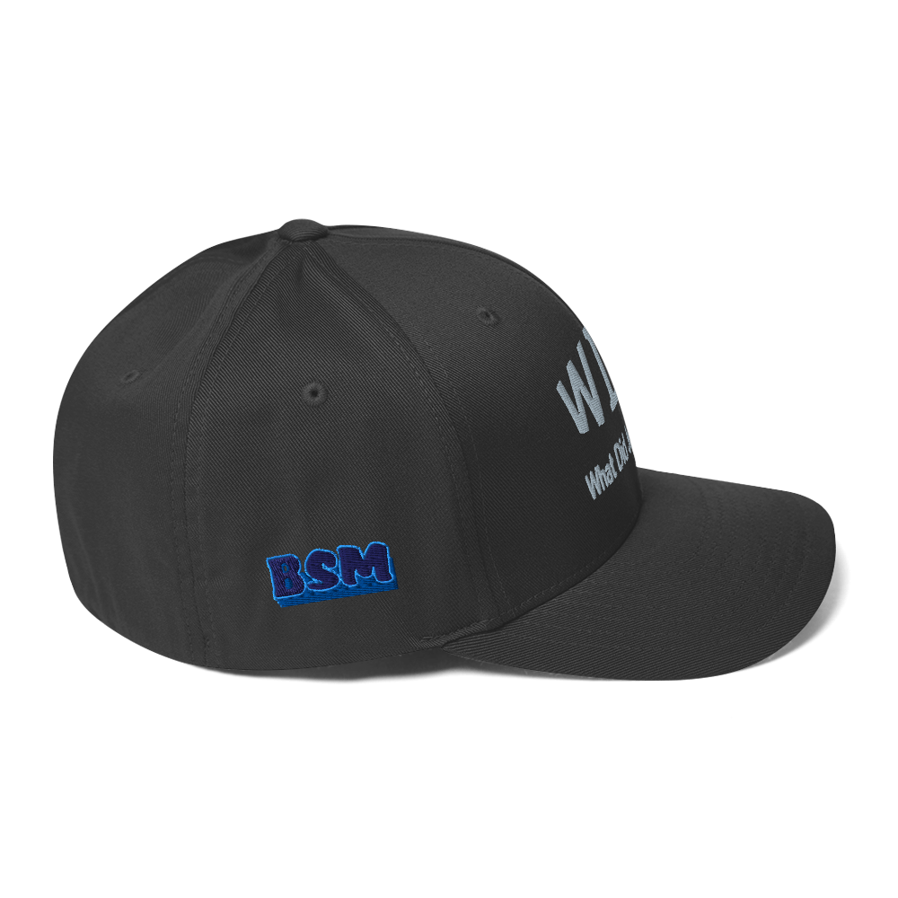 WDJS What Did Jesus Say? Fitted Cap
