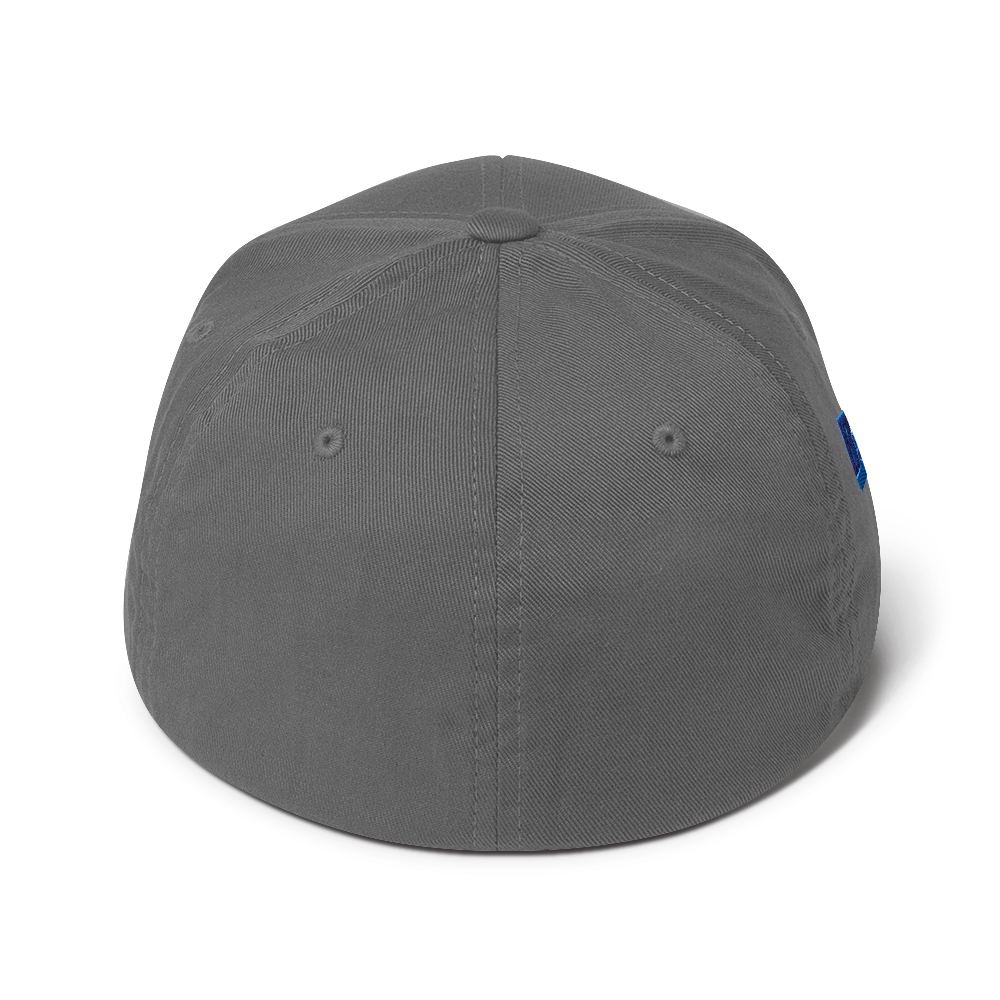 WDJS What Did Jesus Say? Fitted Cap