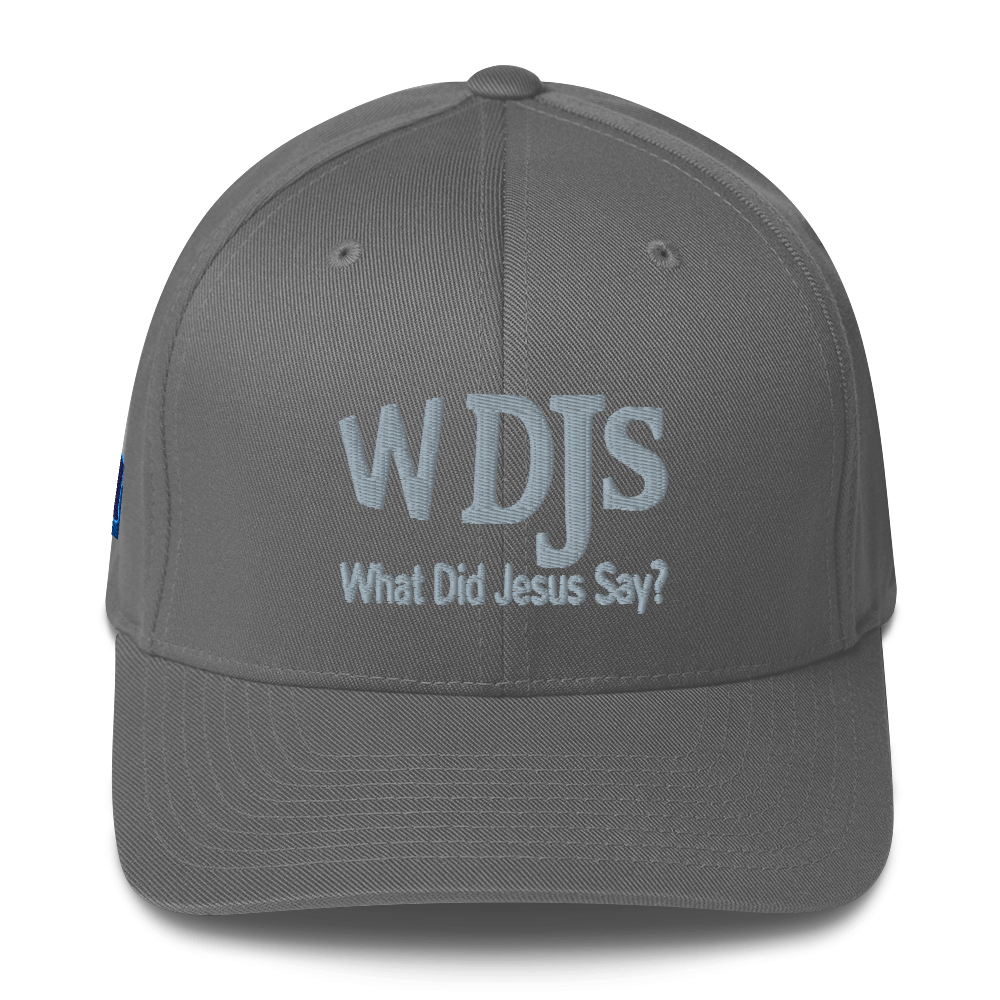 WDJS What Did Jesus Say? Fitted Cap