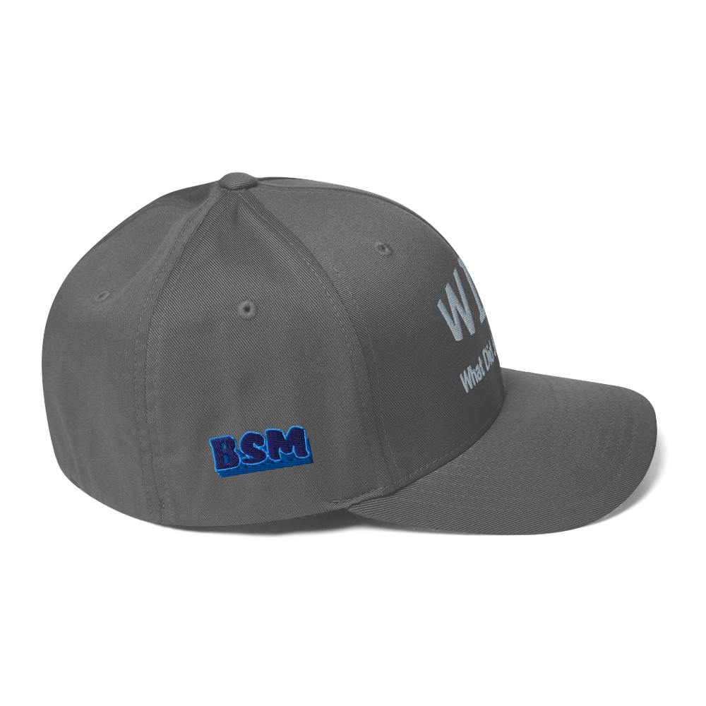 WDJS What Did Jesus Say? Fitted Cap