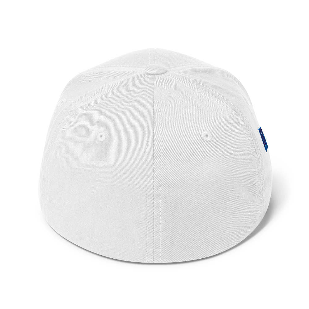 WDJS What Did Jesus Say? Fitted Cap