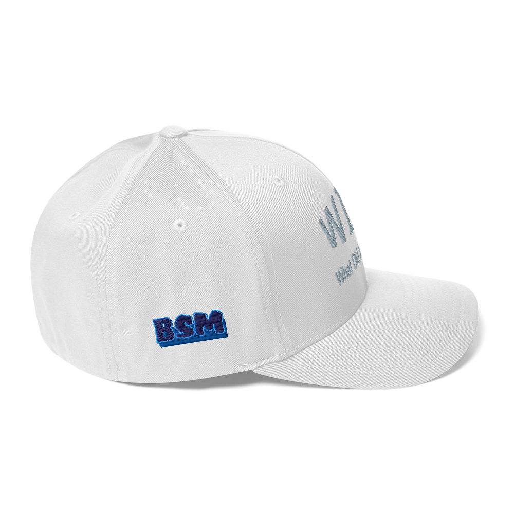 WDJS What Did Jesus Say? Fitted Cap