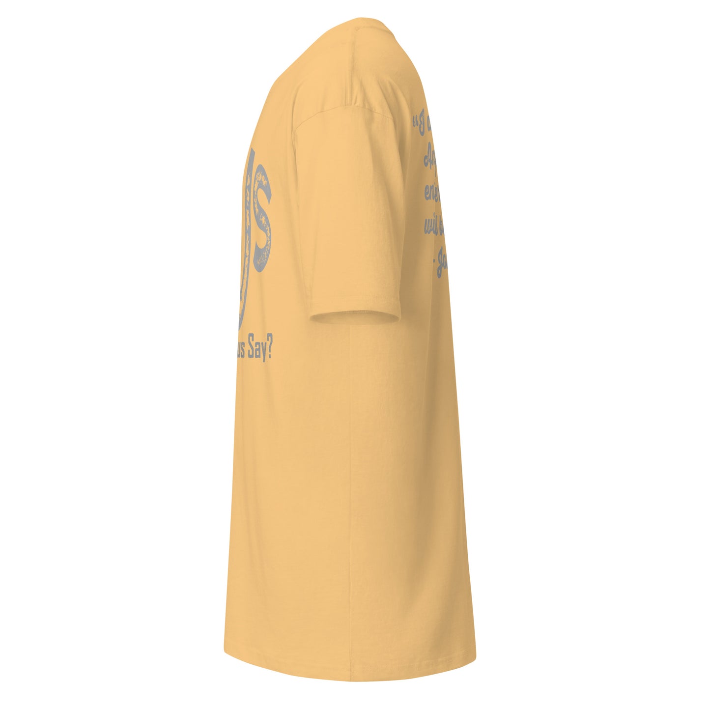 WDJS: I Am the Door Men’s Heavyweight T-Shirt