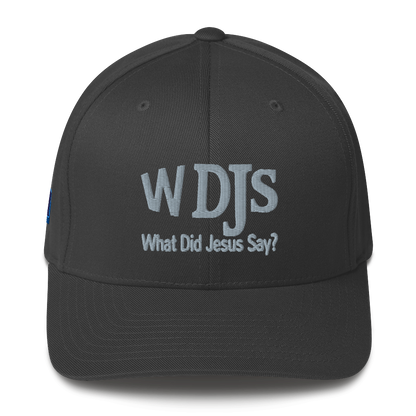 WDJS What Did Jesus Say? Fitted Cap
