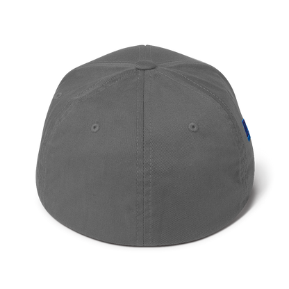 WDJS What Did Jesus Say? Fitted Cap