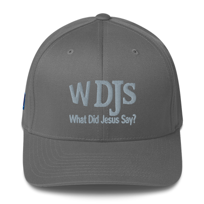 WDJS What Did Jesus Say? Fitted Cap