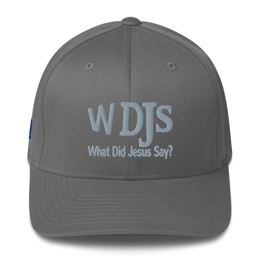 WDJS What Did Jesus Say? Fitted Cap