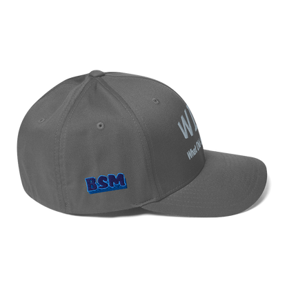 WDJS What Did Jesus Say? Fitted Cap