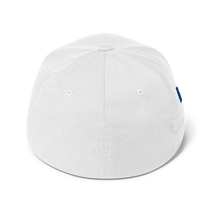 WDJS What Did Jesus Say? Fitted Cap