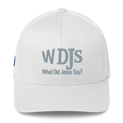 WDJS What Did Jesus Say? Fitted Cap