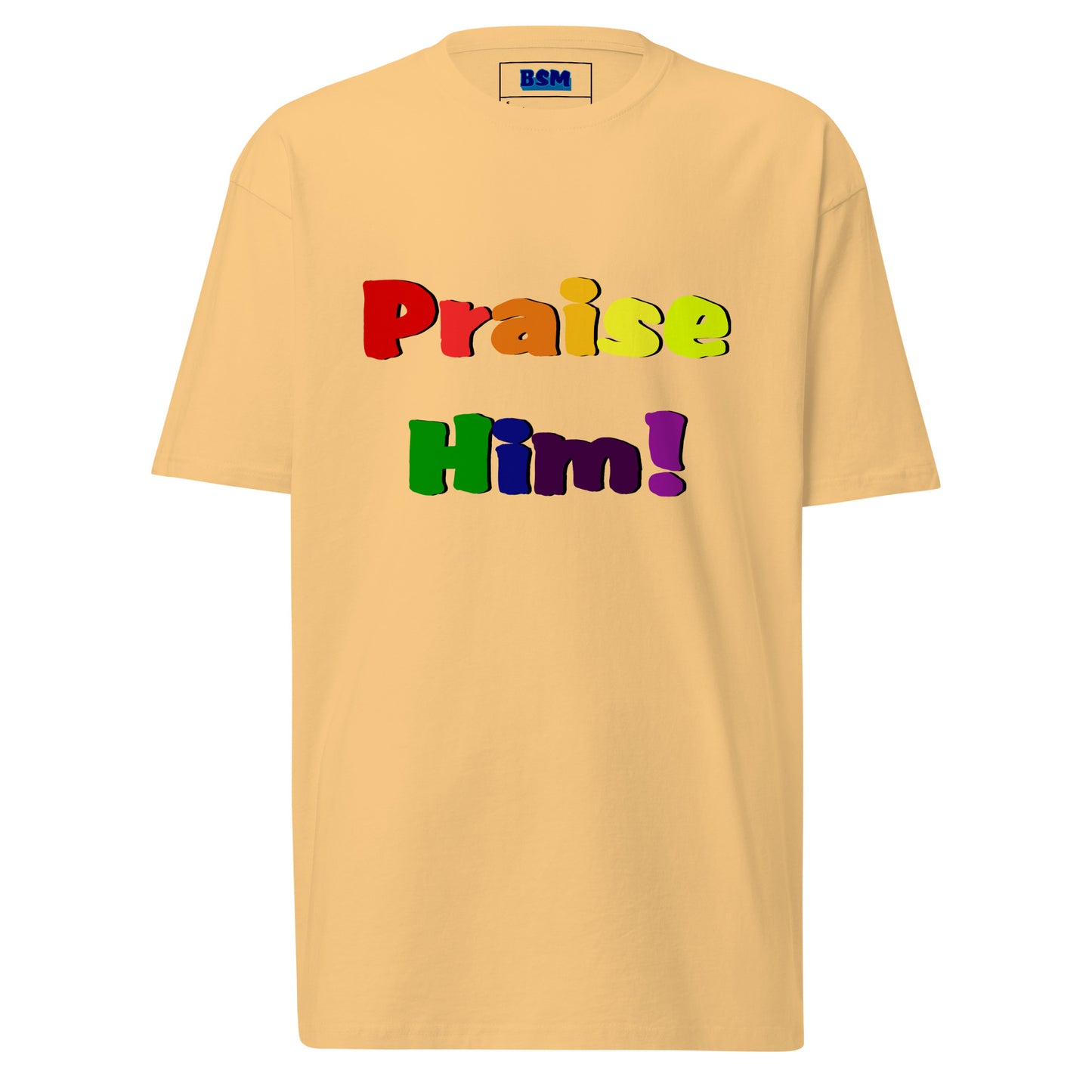 Praise Him Men’s Heavyweight T-Shirt